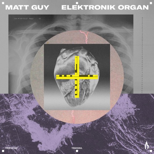 Matt Guy - Elektronik Organ (2024) Download