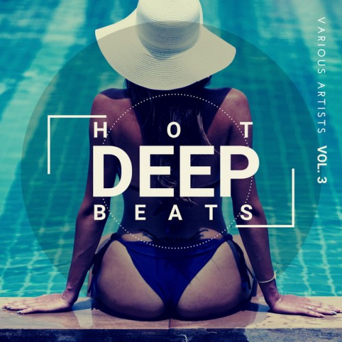 Various Artists – Hot Deep Beats, Vol. 3 (2020)
