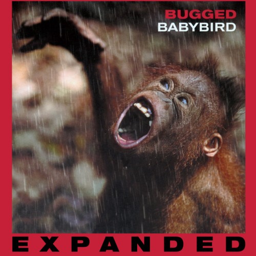 Babybird - Bugged (2000) Download