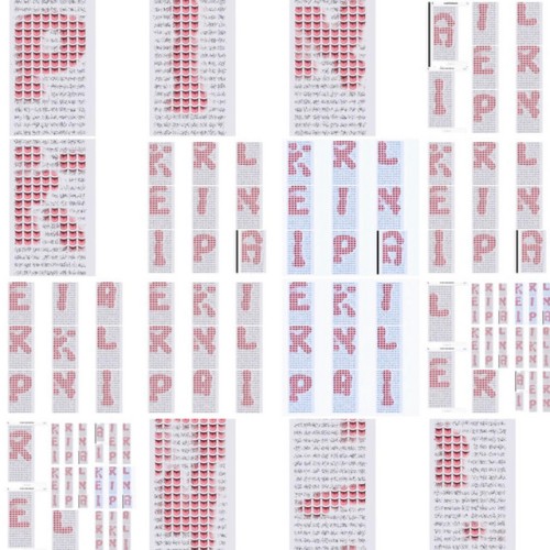 Ariel Pink – Sit N’ Spin (Collected Relics & Besides) (2010)