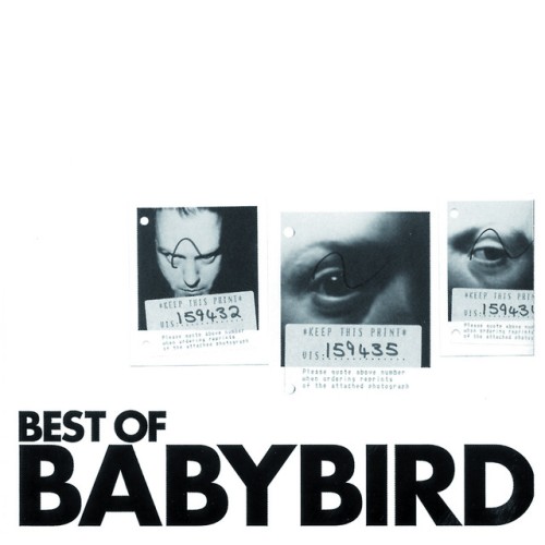 Babybird – Best Of Babybird (2004)