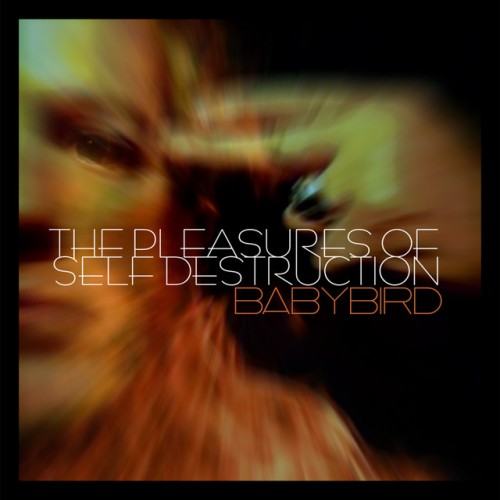 Babybird - The Pleasures Of Self Destruction (2011) Download
