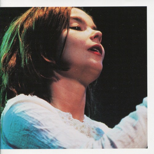 Björk – Debut Live (2004)