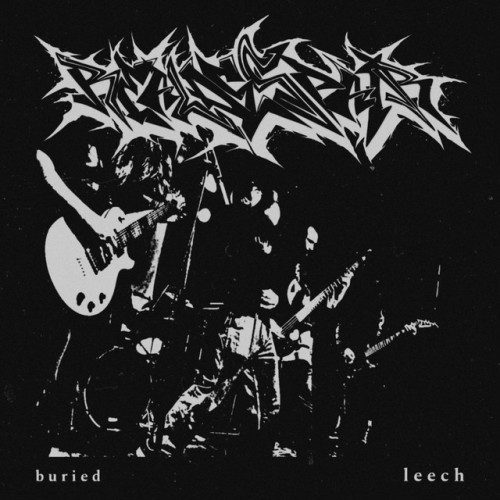 Real Despair – Buried/Leech (2024)