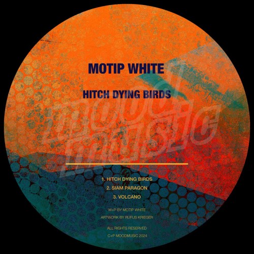 Motip White – Hitch Dying Birds (2024)