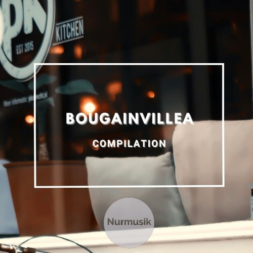 Navegadores - Bougainvillea (2023) Download