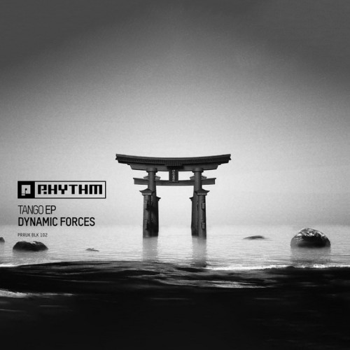 Dynamic Forces – Tango EP (2024)