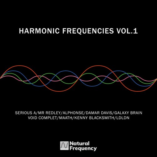 VA-Harmonic Frequencies Vol 1-(NFR009)-24BIT-WEB-FLAC-2024-BABAS