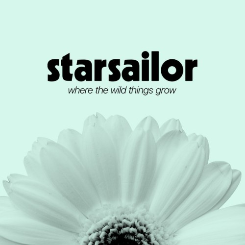 Starsailor – Where The Wild Things Grow (2024)