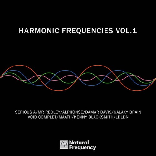 Various Artists – Harmonic Frequencies Vol. 1 (2024) [24Bit-48kHz] FLAC [PMEDIA] ⭐️