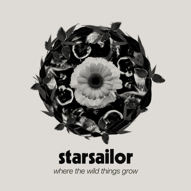 Starsailor - Where The Wild Things Grow (2024) [24Bit-44.1kHz] FLAC [PMEDIA] ⭐ Download