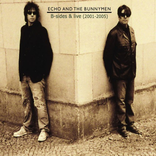 Echo And The Bunnymen – B-Sides And Live (2001-2005) (2007)