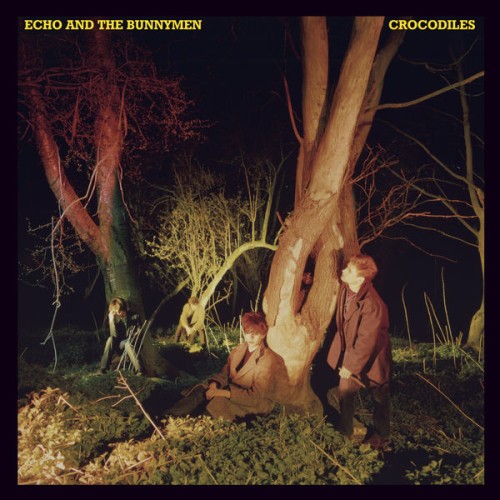 Echo & The Bunnymen – Crocodiles (1980)
