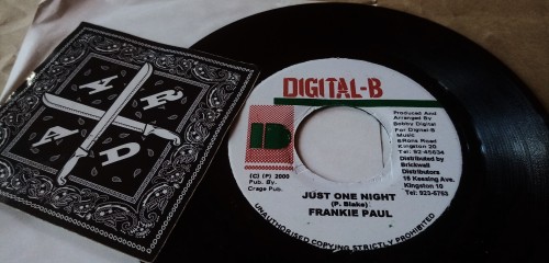 Bobby Digital – Just One Night (2000)