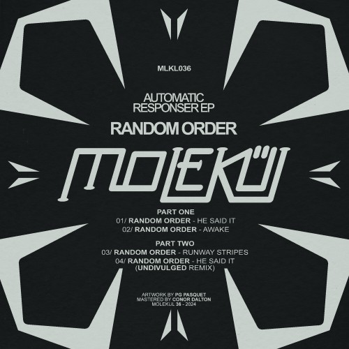 Random Order – Automatic Responser EP (2024)