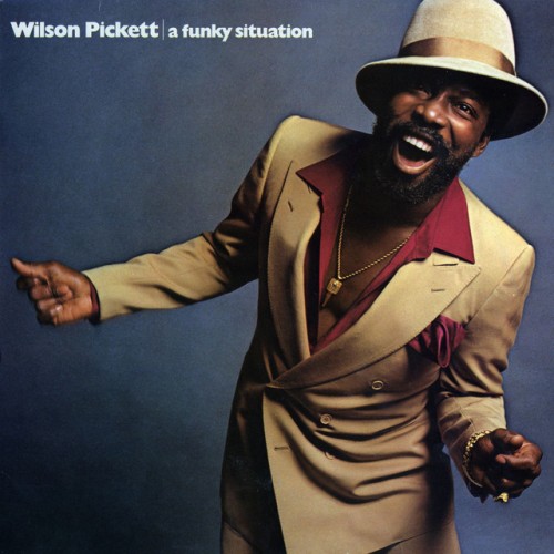 Wilson Pickett-A Funky Situation-24BIT-192KHZ-WEB-FLAC-1978-TiMES Download