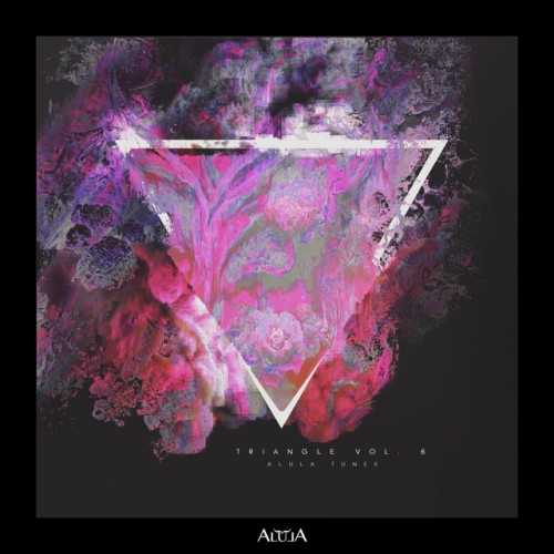 Various Artists - Triangle, Vol. 6 (2023) Download