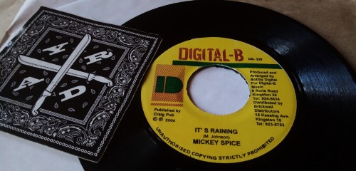 Bobby Digital - It's Raining (2006) Download