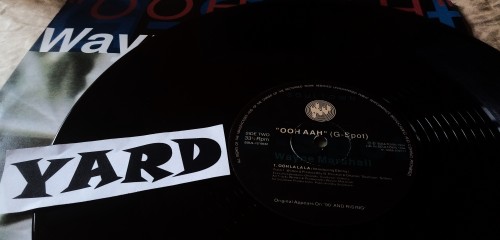 Wayne Marshall-Ooh Aah (G-Spot)-(SOUL-12 0032)-12INCH VINYL-FLAC-1994-YARD Download