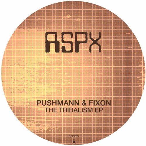 PUSHMANN & Fixon – The Tribalism EP (2024)