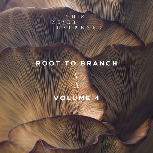 Various Artists – Root to Branch, Vol. 4 (2019)