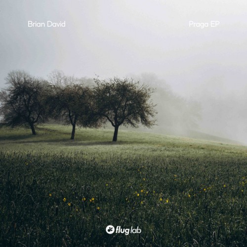 Brian David-Praga-(FLAB084)-16BIT-WEB-FLAC-2024-AFO