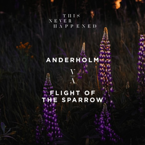 Anderholm-Flight Of The Sparrow-(TNH011E)-24BIT-WEB-FLAC-2018-BABAS