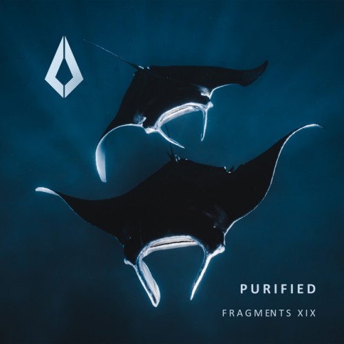 Offtide - Purified Fragments XIX (2024) Download