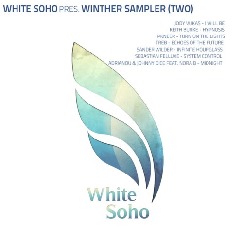 VA-White Soho Pres Winter Sampler (TWO)-(WHS152)-16BIT-WEB-FLAC-2024-AFO