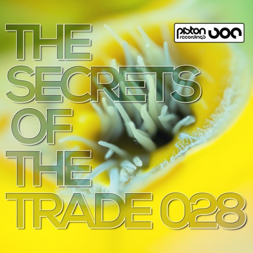 VA-The Secrets Of The Trade 028-(PRCD2024068)-16BIT-WEB-FLAC-2024-AFO