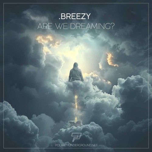 breezy-Are_We_Dreaming-PLRTUNDR091-SINGLE-16BIT-WEB-FLAC-2024-AFO.jpg