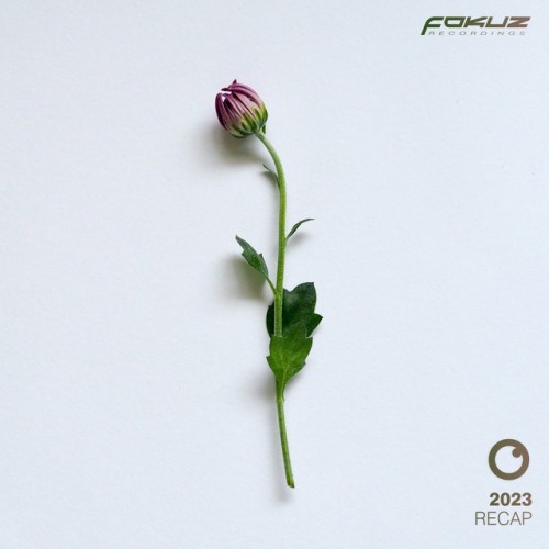 Various Artists - Fokuz Recap 2023 (2023) Download