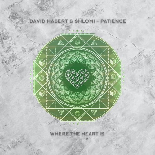 David Hasert & Shlomi - Patience (2024) Download
