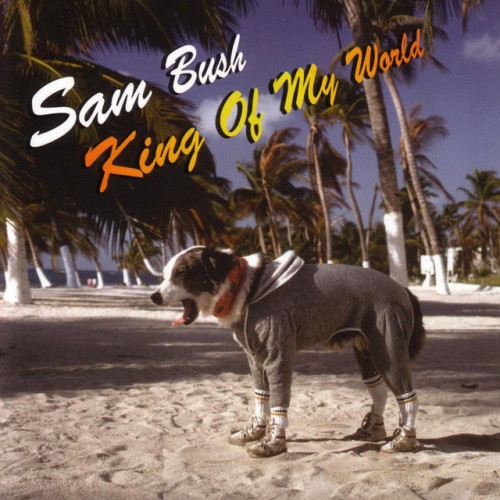 Sam Bush-King Of My World-16BIT-WEB-FLAC-2004-OBZEN