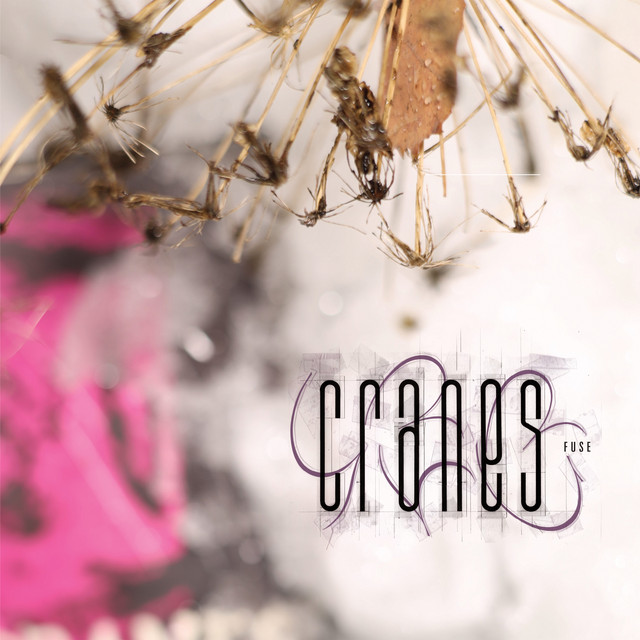 Cranes - Fuse (2024) [24Bit-48kHz] FLAC [PMEDIA] ⭐️ Download