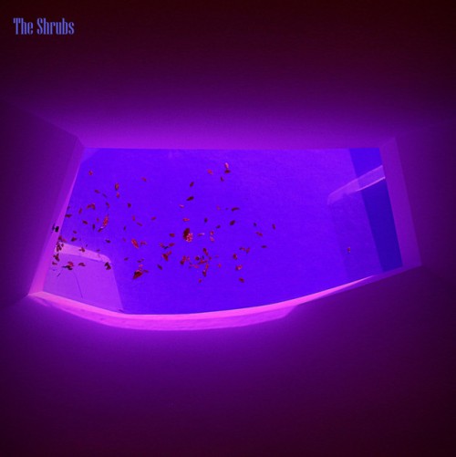 The Shrubs - Echoes of a Dream (2024) Download