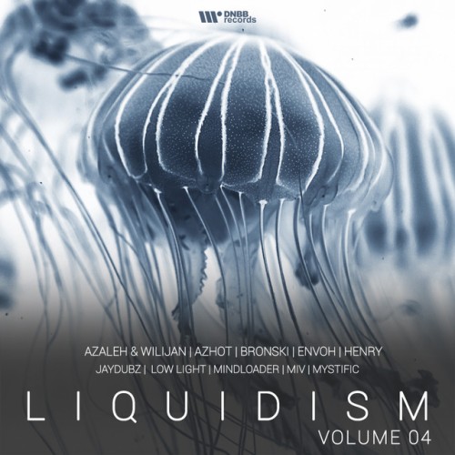 Various Artists – Liquidism, Vol. 4 (2018)