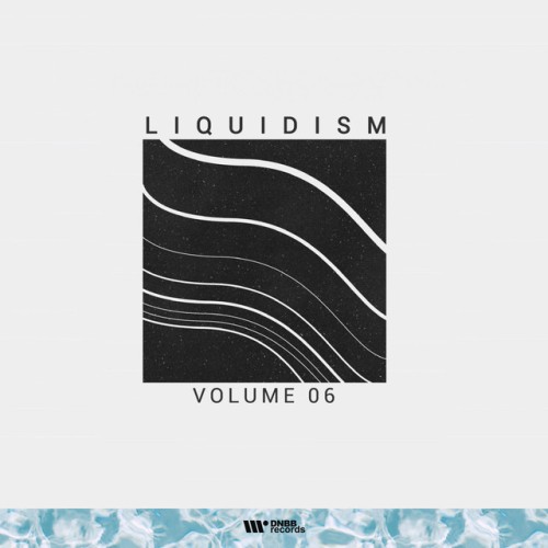 Various Artists – Liquidism, Vol. 6 (2020)