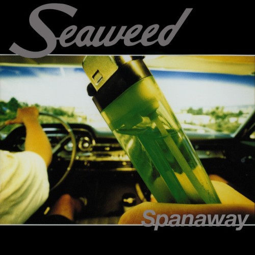 Seaweed – Spanaway (1995)