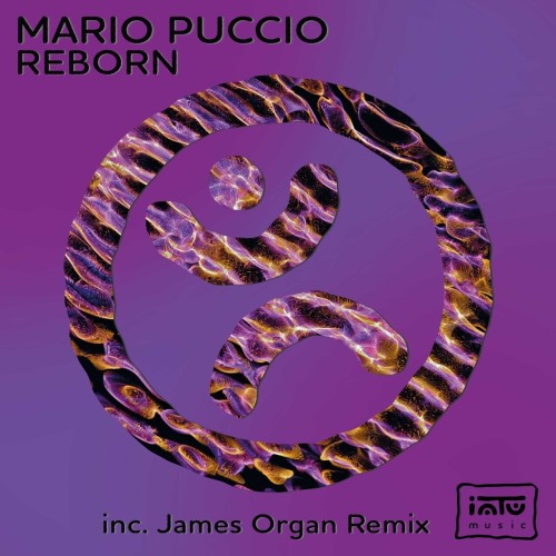 Mario Puccio – Reborn (2024)