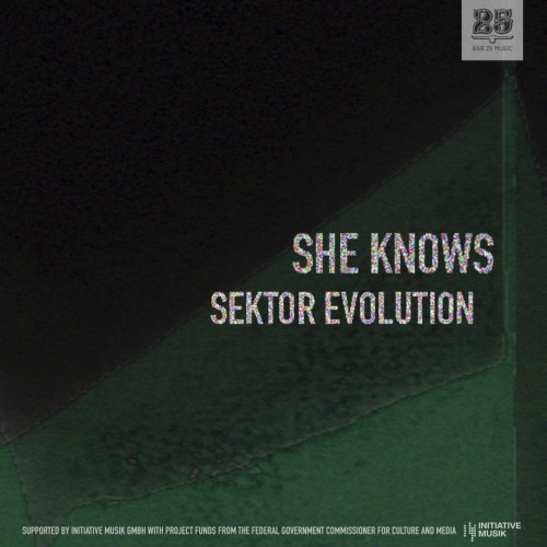 She Knows – Sektor Evolution (2024)
