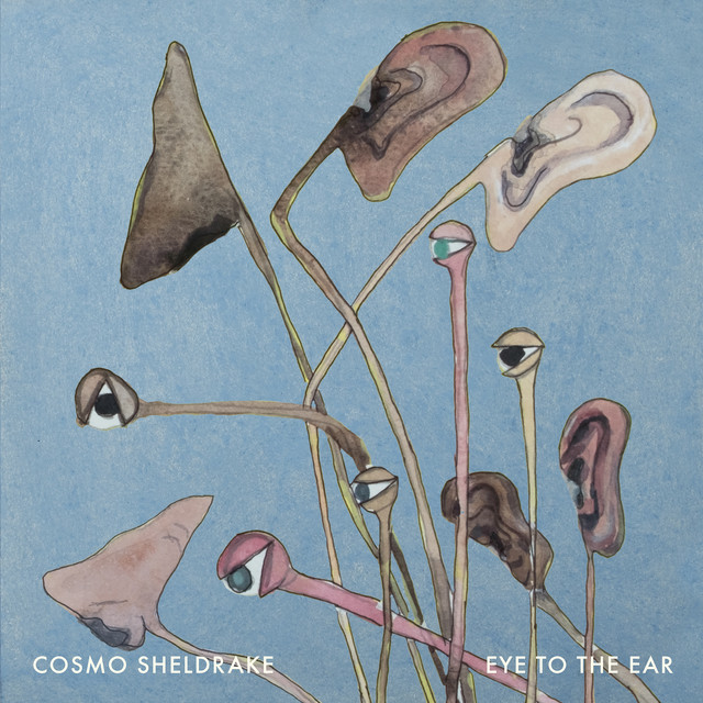 Cosmo Sheldrake - Eye To The Ear (2024) [24Bit-96kHz] FLAC [PMEDIA] ⭐ Download