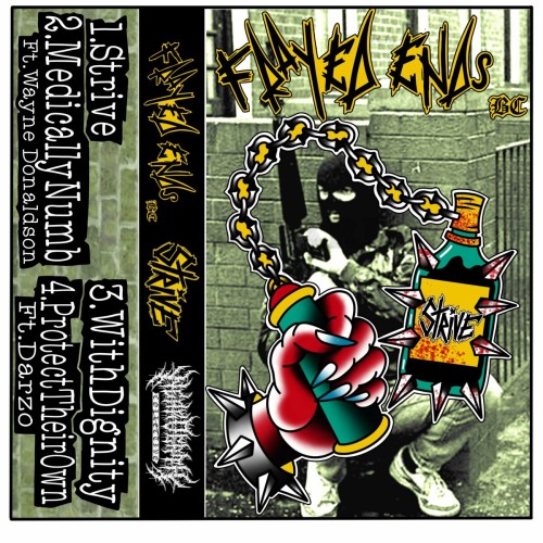 Frayed Ends BC-Strive-16BIT-WEB-FLAC-2024-VEXED Download