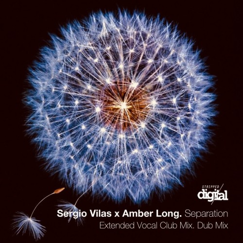 Amber Long & Sergio Vilas - Separation (2024) Download