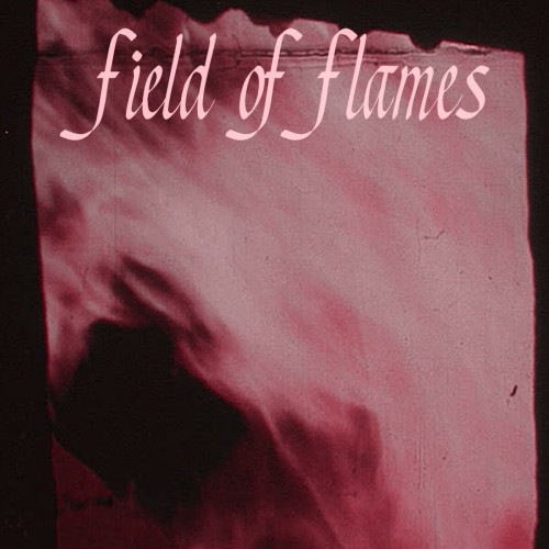 Field Of Flames – Field Of Flames (2017)