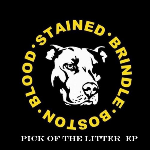 Blood Stained Brindle - Pick Of The Litter EP (2022) Download