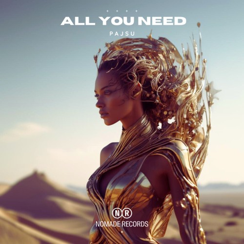 Pajsu - All You Need (2024) Download