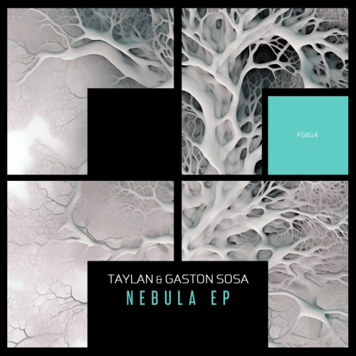 Taylan & Gaston Sosa – Nebula EP (2024)