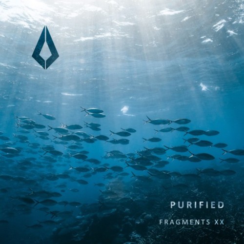 Various Artists – Purified Fragments XX (2024)