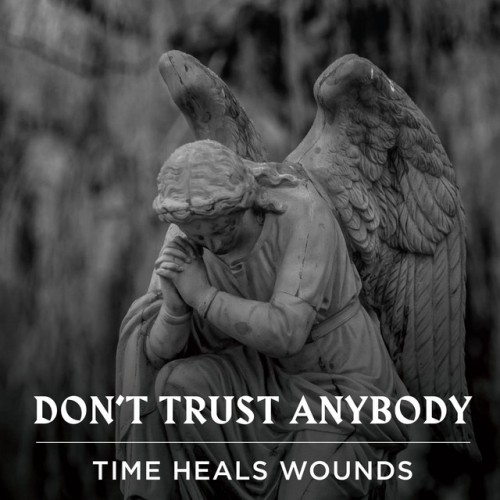 Dont Trust Anybody-Time Heals Wounds-16BIT-WEB-FLAC-2020-VEXED